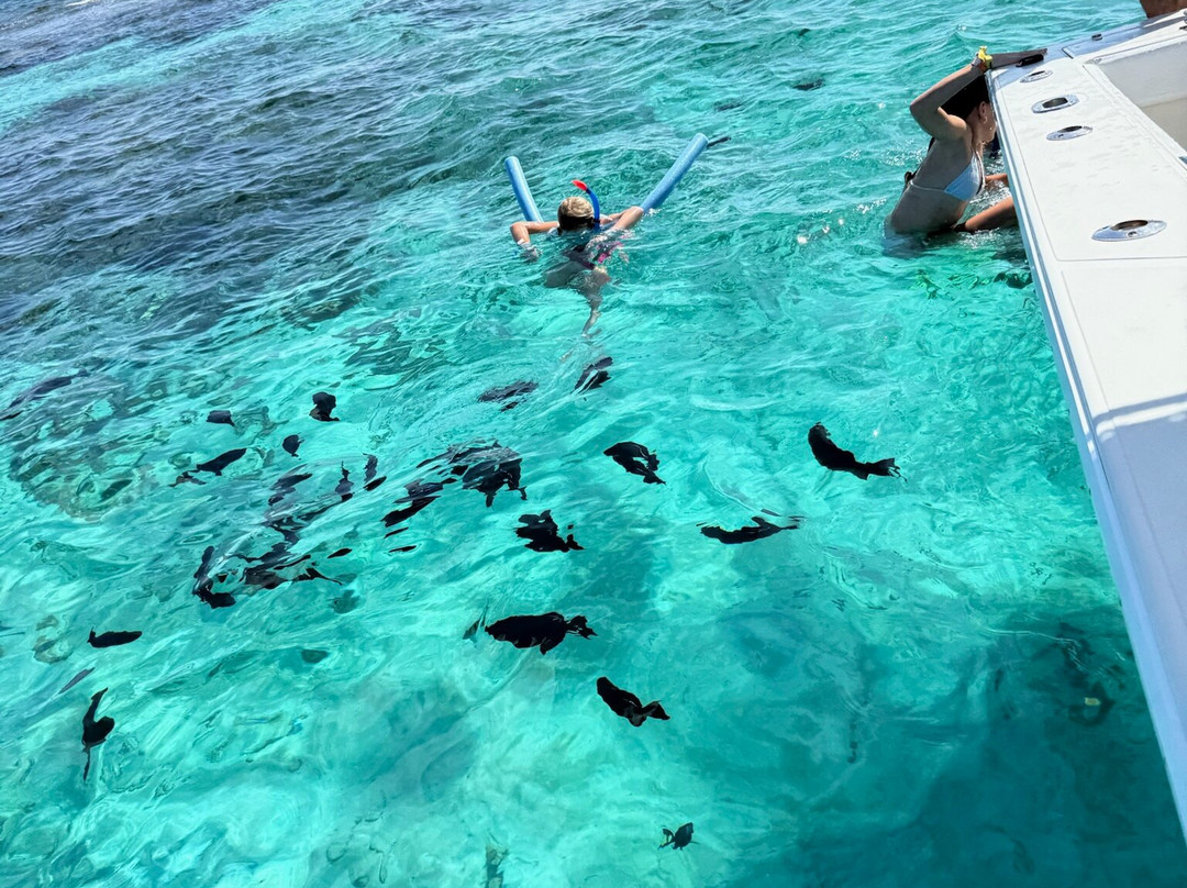 Blue Haven Charters-Rum Point必去景点