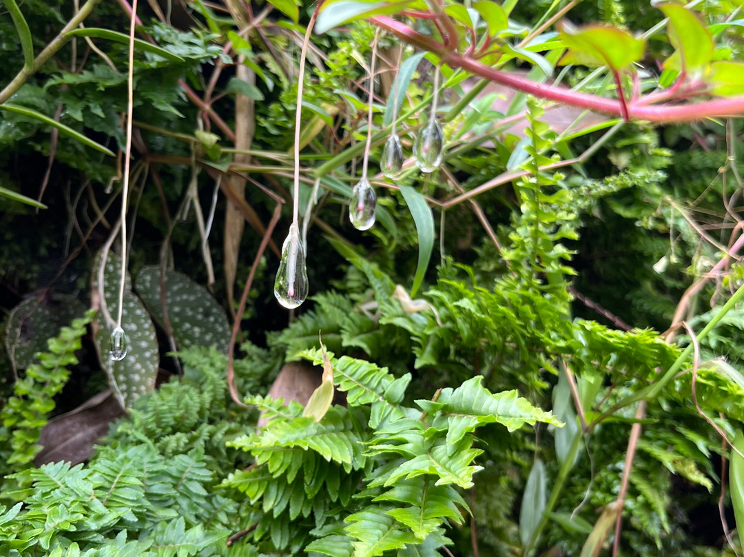 Green Land Spice Garden-帖可迪必去景点