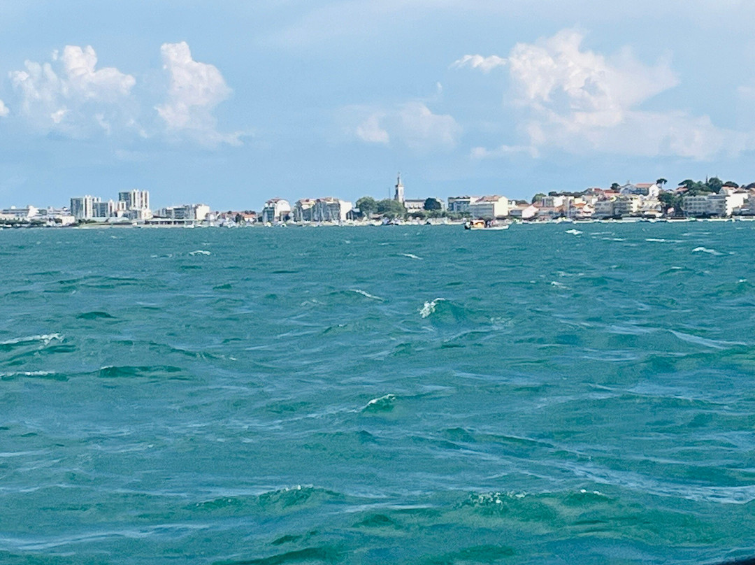 Île aux Oiseaux-拉泰斯特德比克必去景点