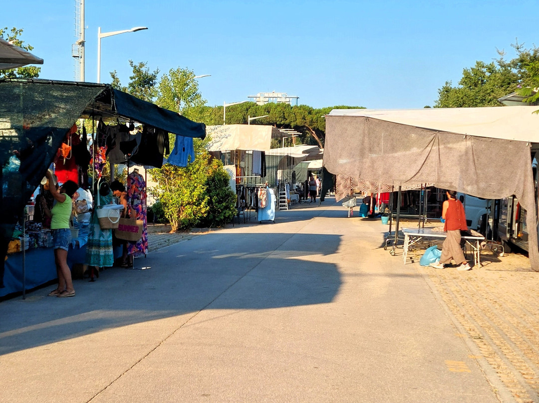 Mercato Settimanale Parco Centrale-福洛尼卡必去景点