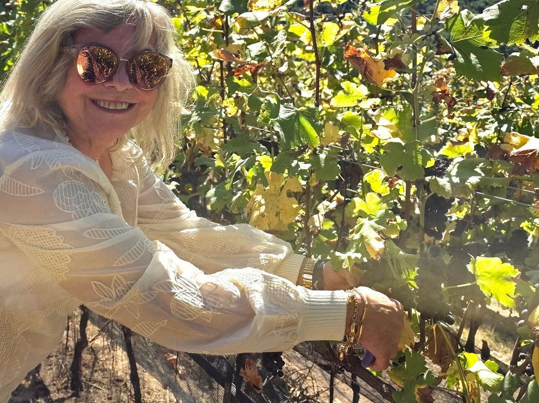 Vinícola Amana-Espirito Santo Do Pinhal必去景点