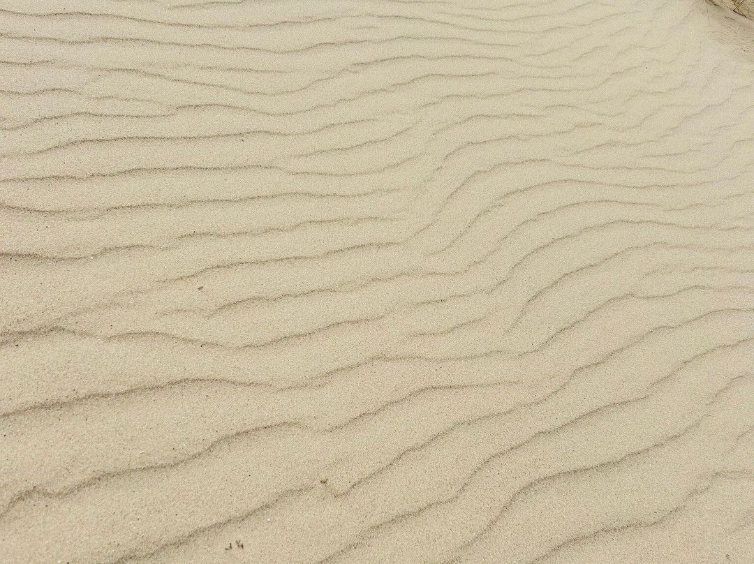 Holkham National Nature Reserve-Holkham必去景点