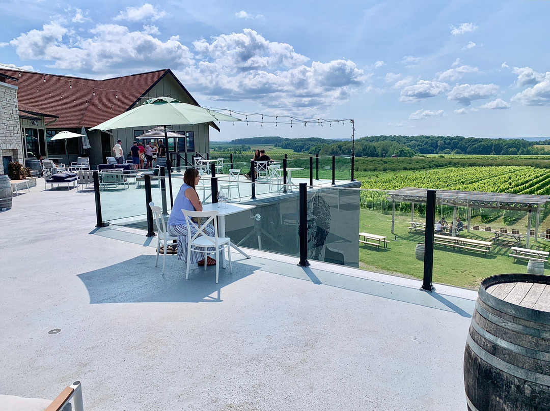 Bonobo Winery-特拉弗斯城必去景点