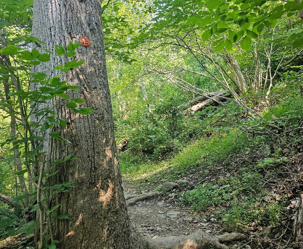 山谷公园-费城必去景点
