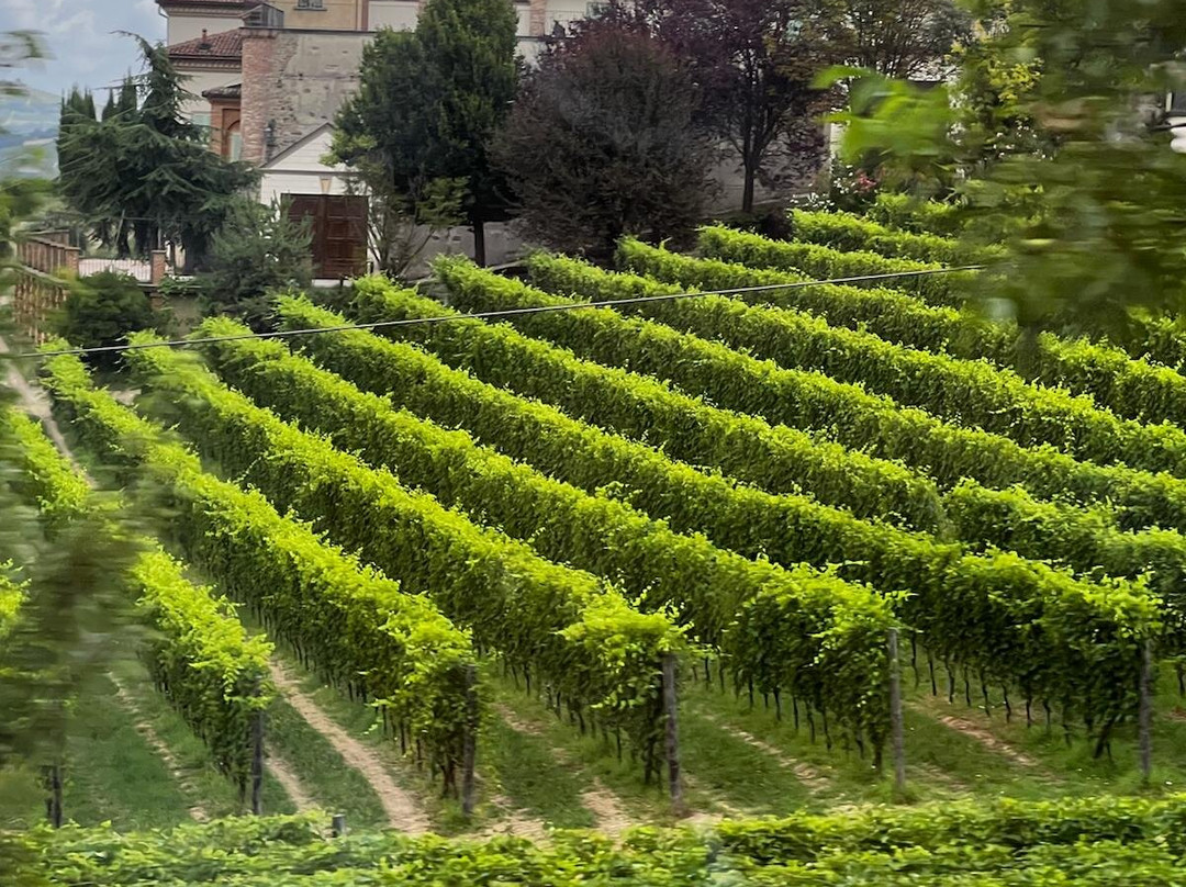 Meet Piemonte-Nizza Monferrato必去景点