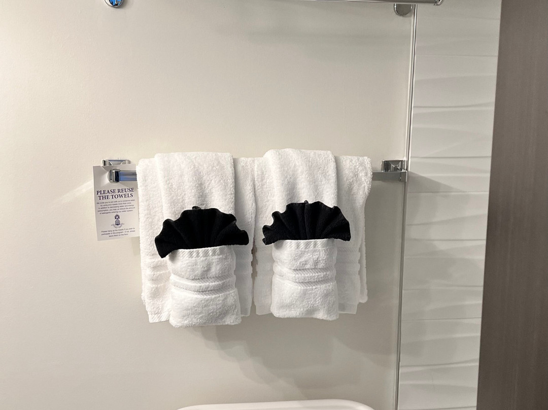 The Royal Anne Hotel主图