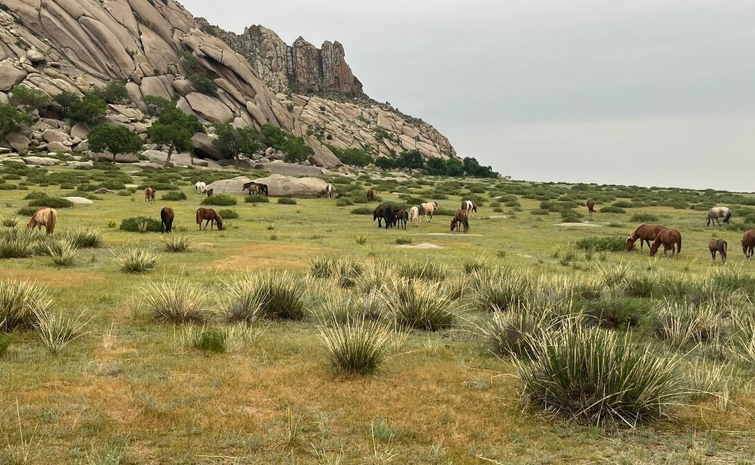 Horseback Mongolia-乌兰巴托必去景点