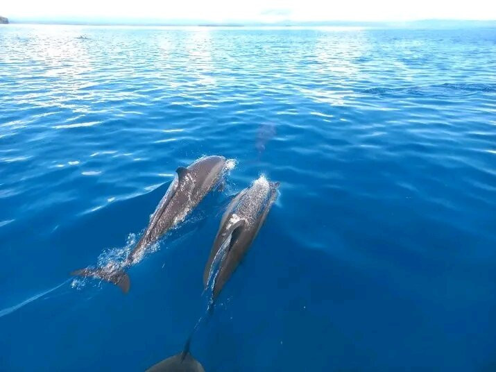Pangpang Island Paradise-Kokopo必去景点