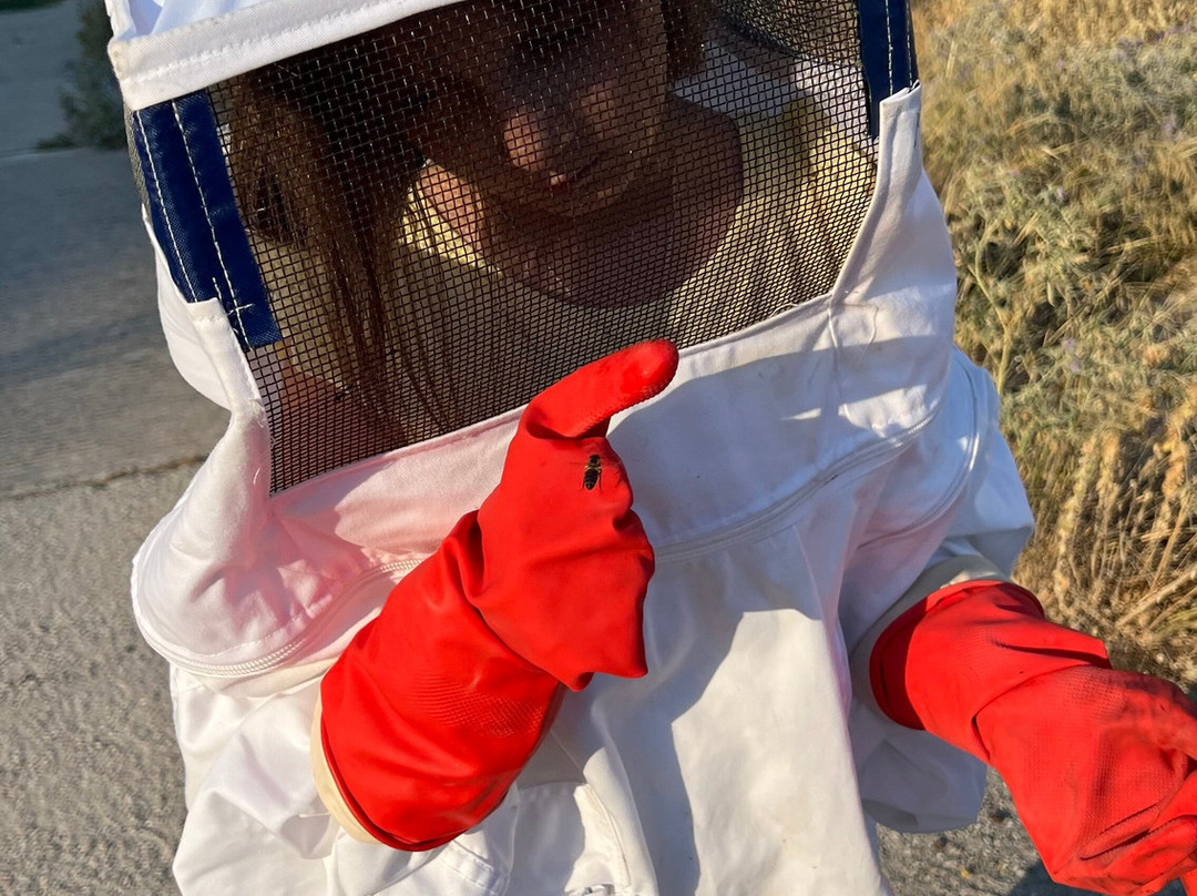 So! Bee-纳夫普利翁必去景点