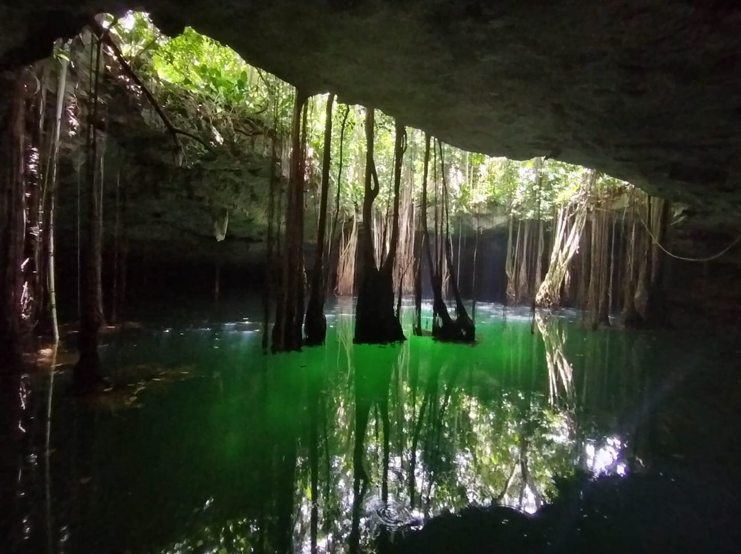 Cenote La Casa De Los Pájaros-Tizimin必去景点