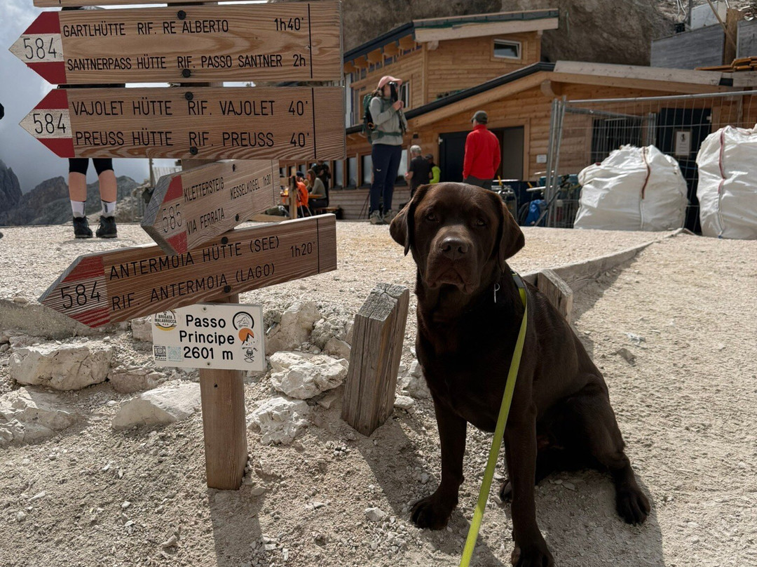 Rifugio Passo Principe-Pozza di Fassa必去景点