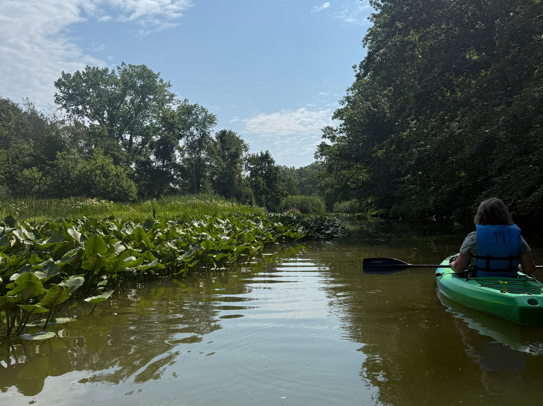Lake Erie Canopy Tours-Geneva必去景点