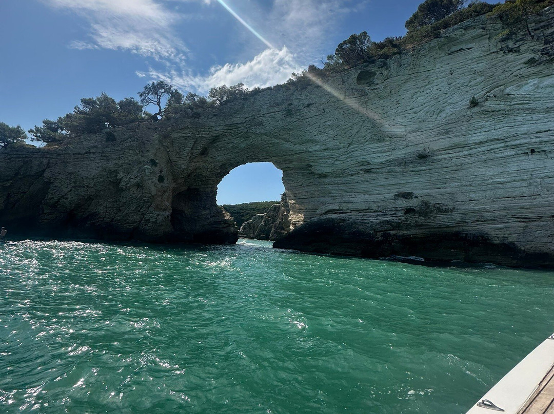 Albachiara Boat Escursioni e Aperitivi in barca-维耶斯泰必去景点