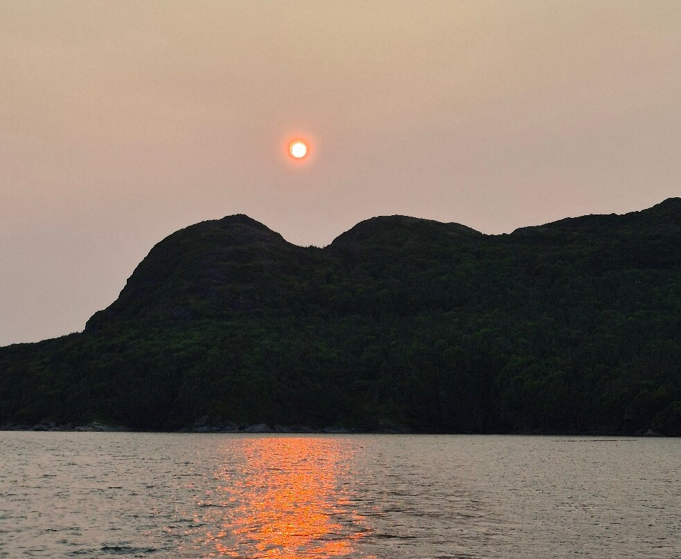 The Dark Tickle Co.-纽芬兰及拉布拉多必去景点