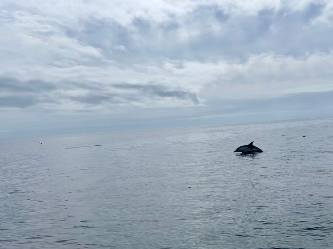 August Rock Adventures-法尔茅斯必去景点