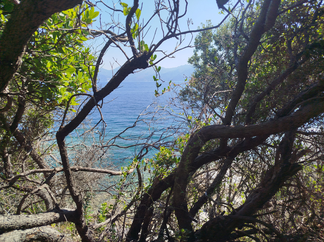 4x4 Agriates-Casta必去景点