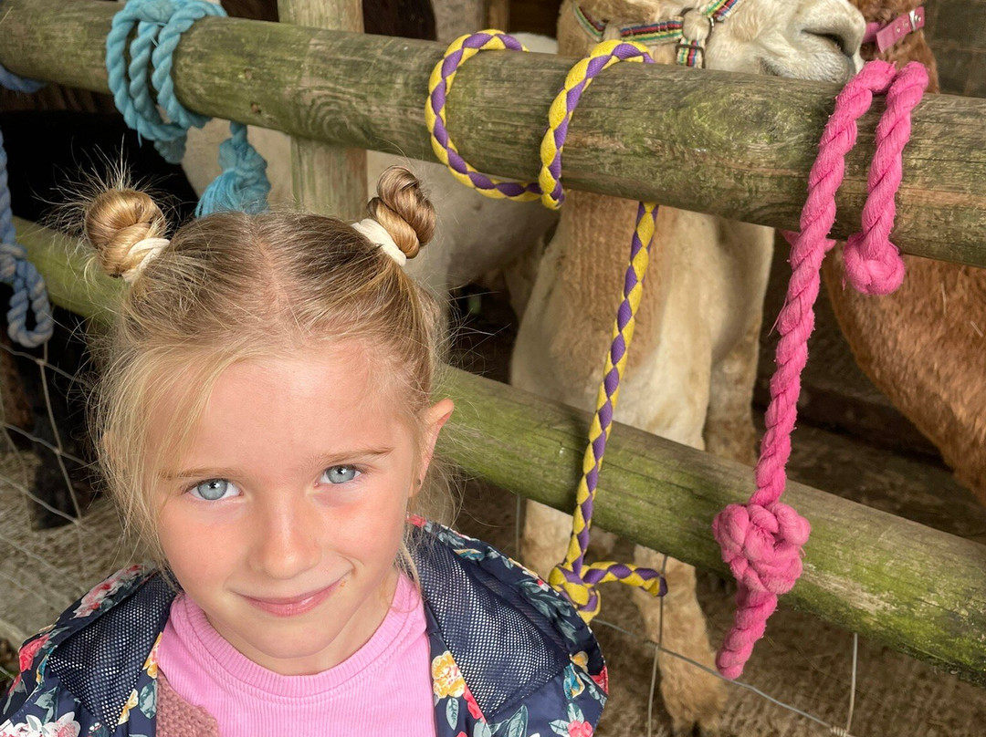 Woolley Animals Farm Park-Winkleigh必去景点