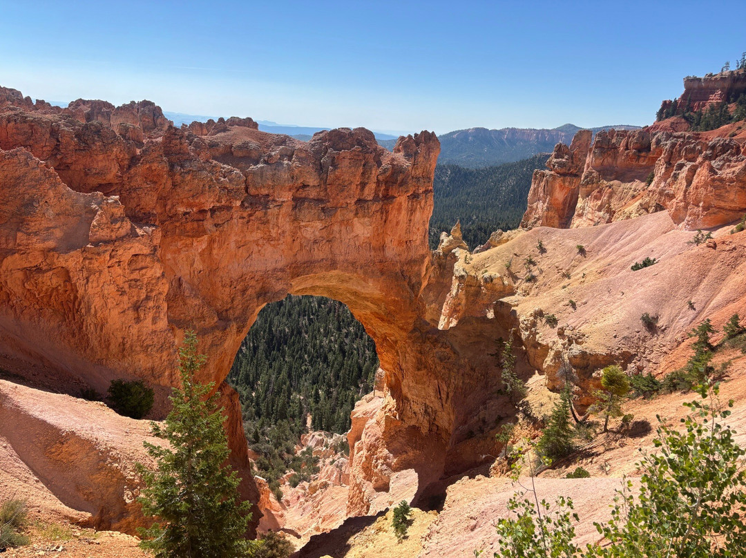 Natural Bridge-布莱斯必去景点