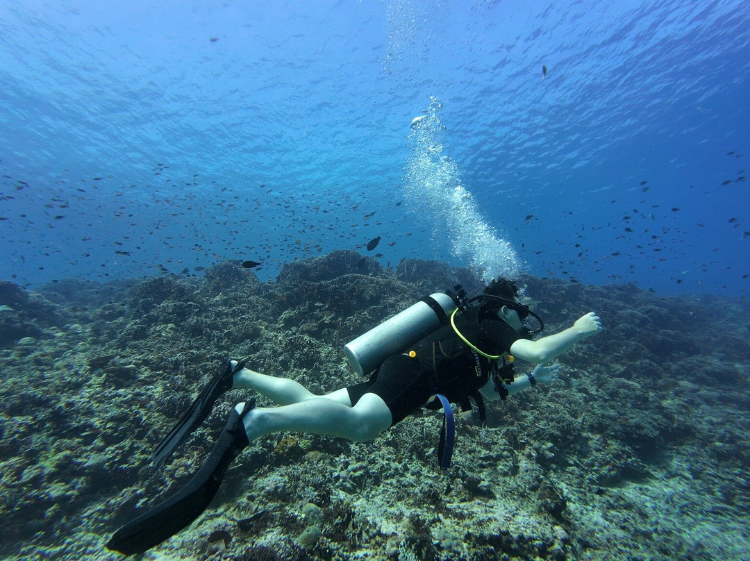 Gili Island Diving Center-Gili Air必去景点