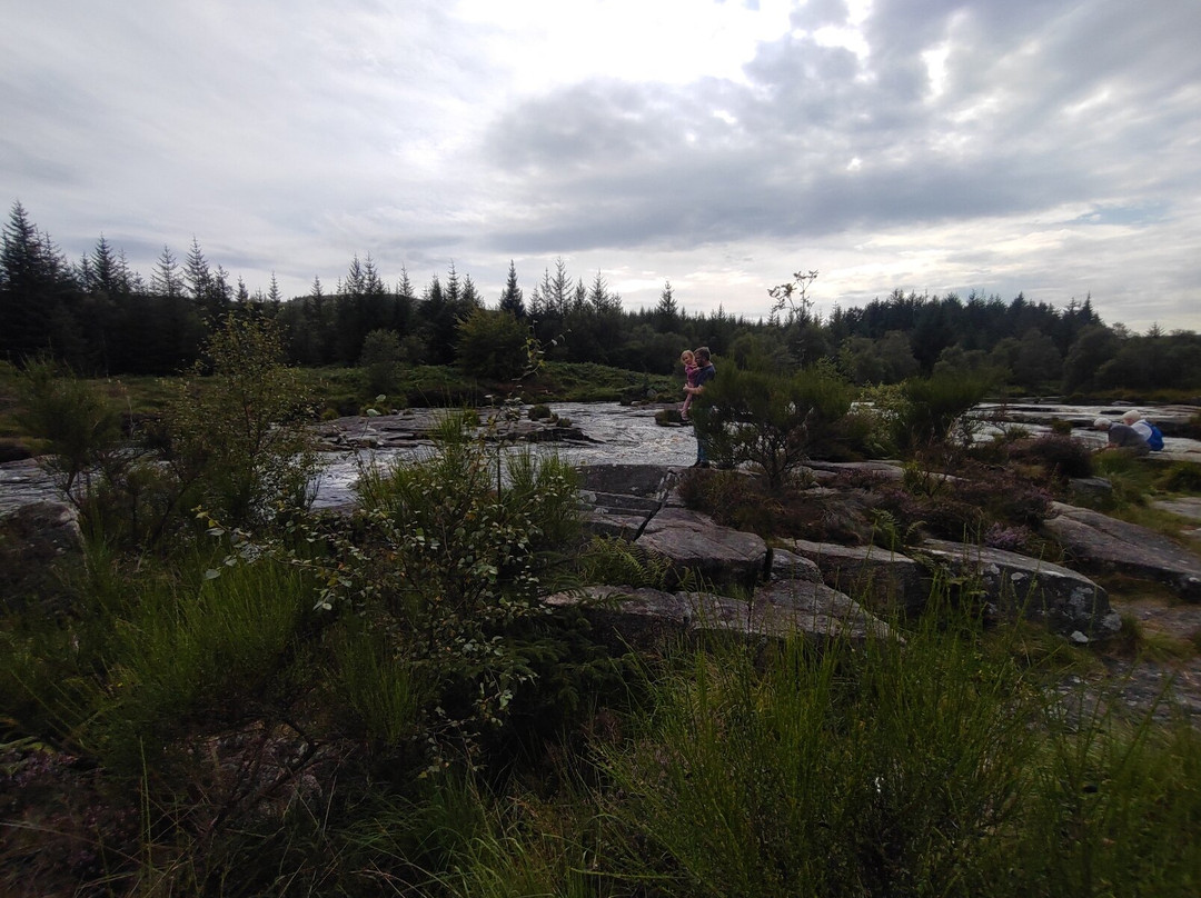 The Raiders Road Forest Drive-邓弗里斯-加洛韦必去景点