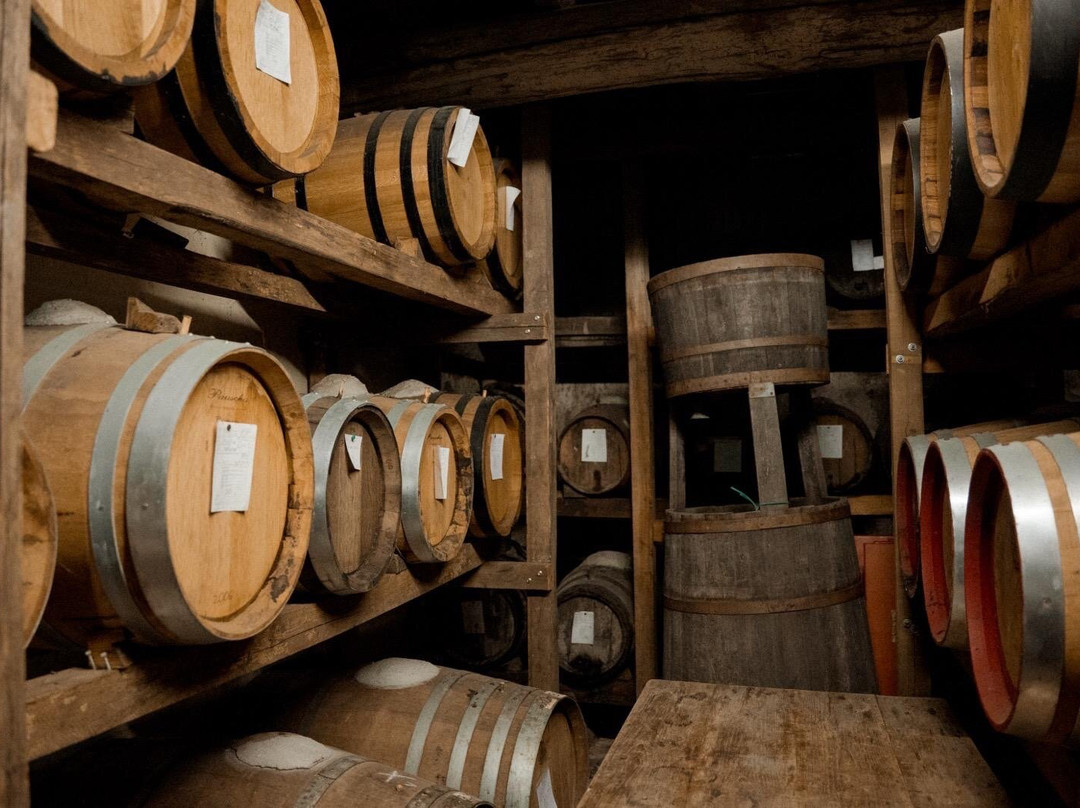 Azienda Agricole Frascole-Dicomano必去景点