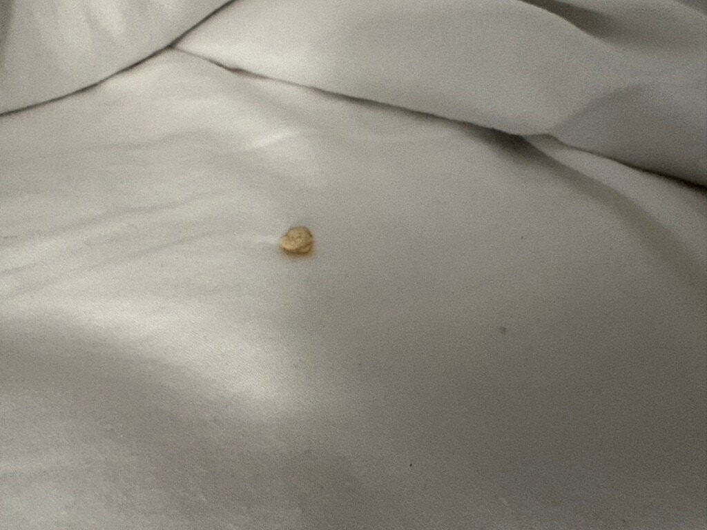 Super 8 by Wyndham Bedford主图