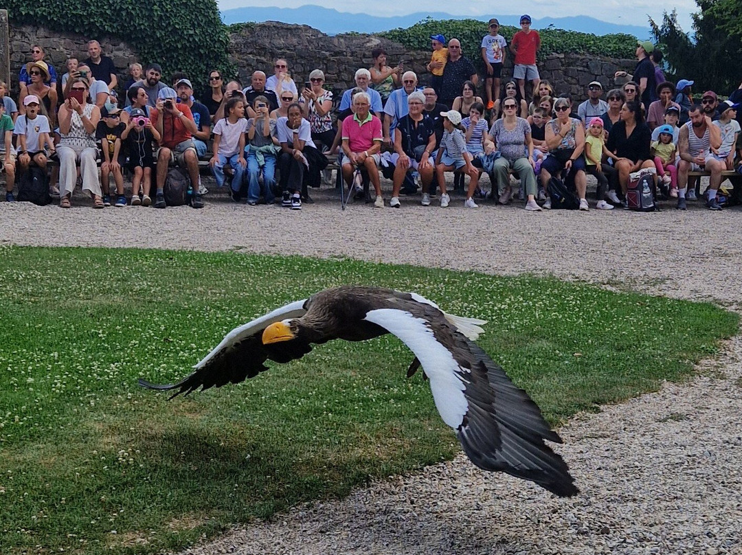 La Volerie des Aigles-Kintzheim必去景点