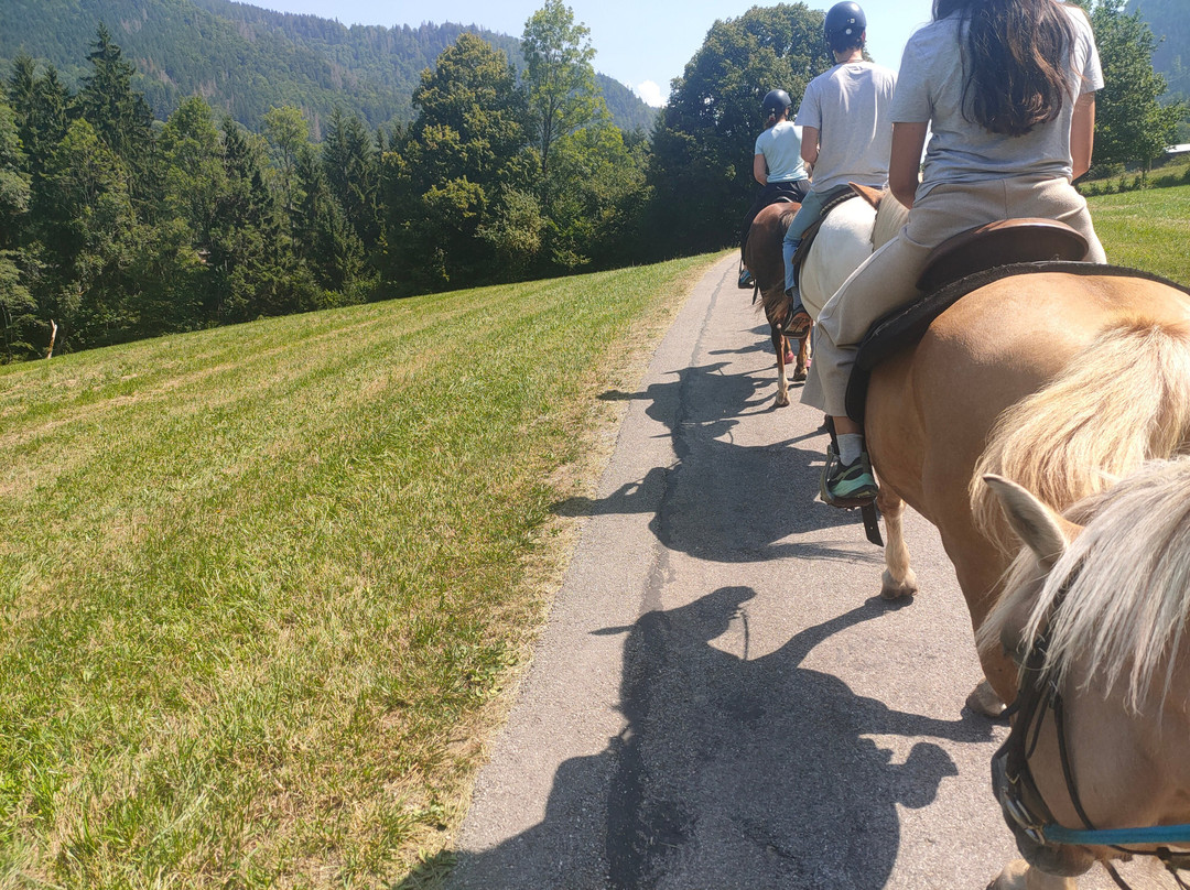 Ranch des Portes du Soleil