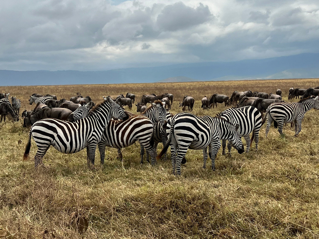 B2 Travel Group-纽约市必去景点