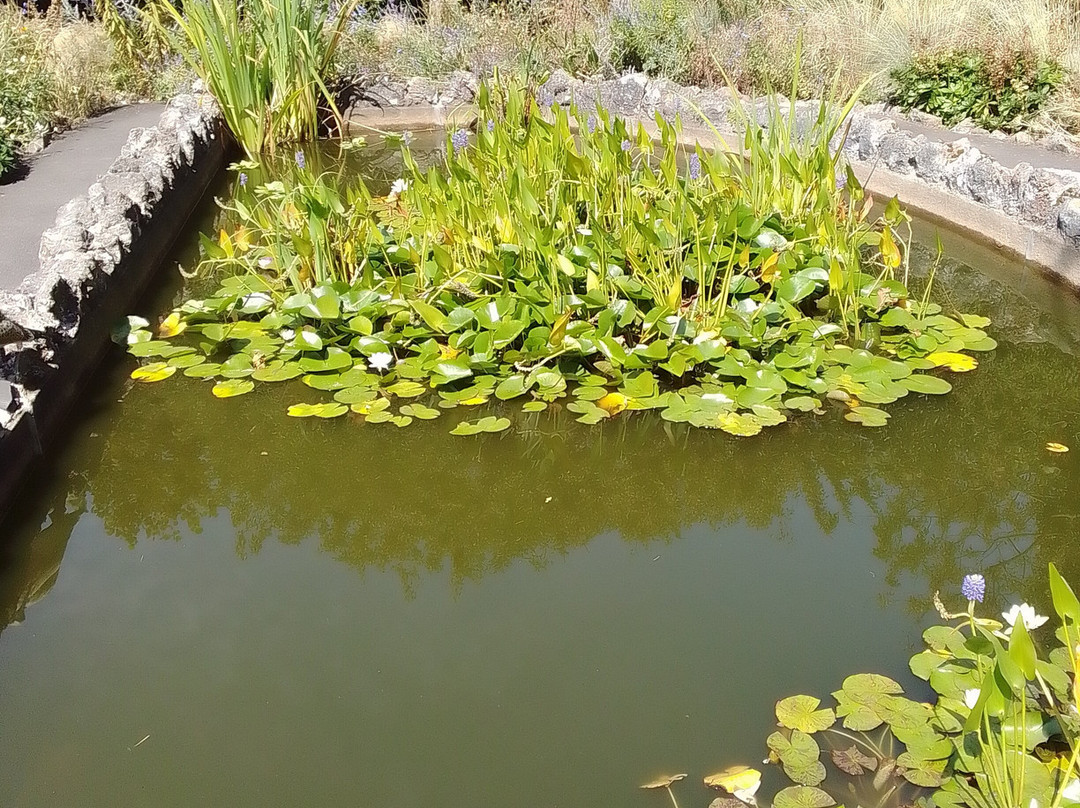 Tessier Gardens-托基必去景点