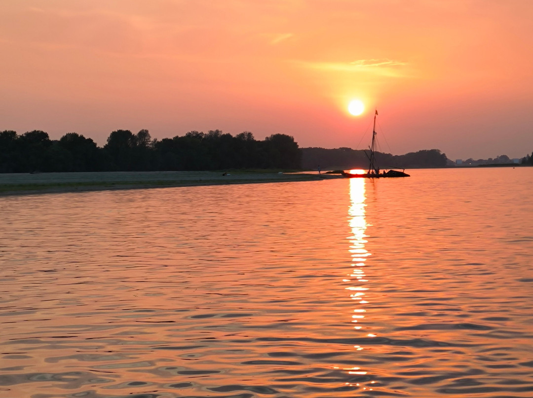 Loire Odyssée-Saint-Mathurin-sur-Loire必去景点