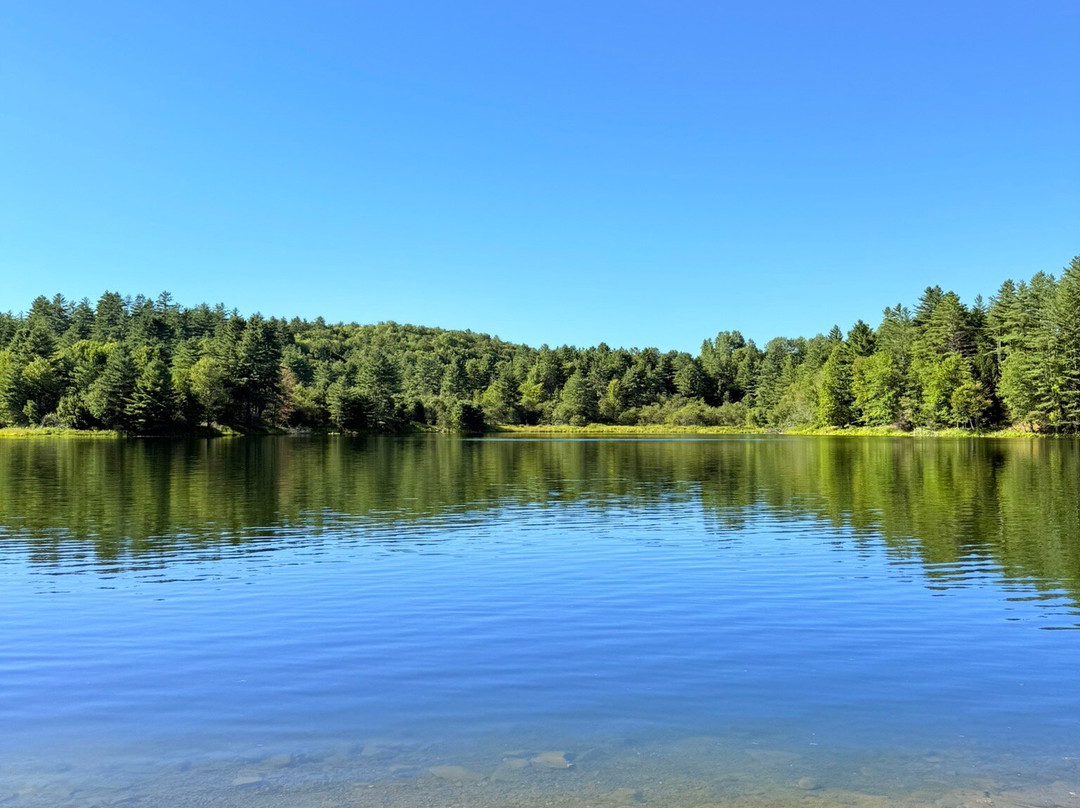 Waterbury Center State Park-Waterbury Center必去景点