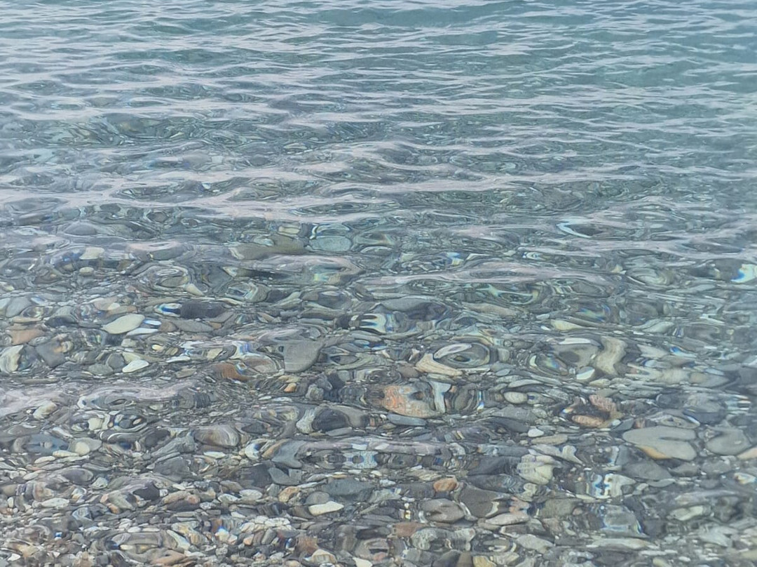 Palazzo Madeo - Residenza d'Epoca主图