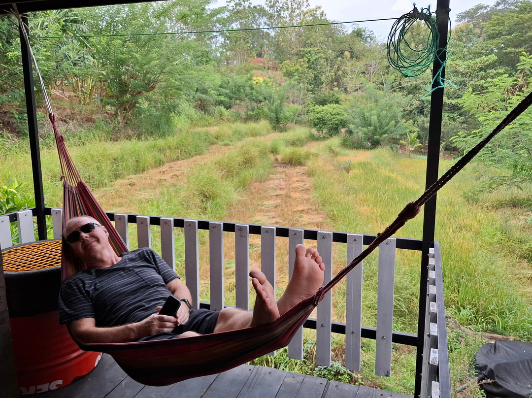 Hornbill River Camp主图