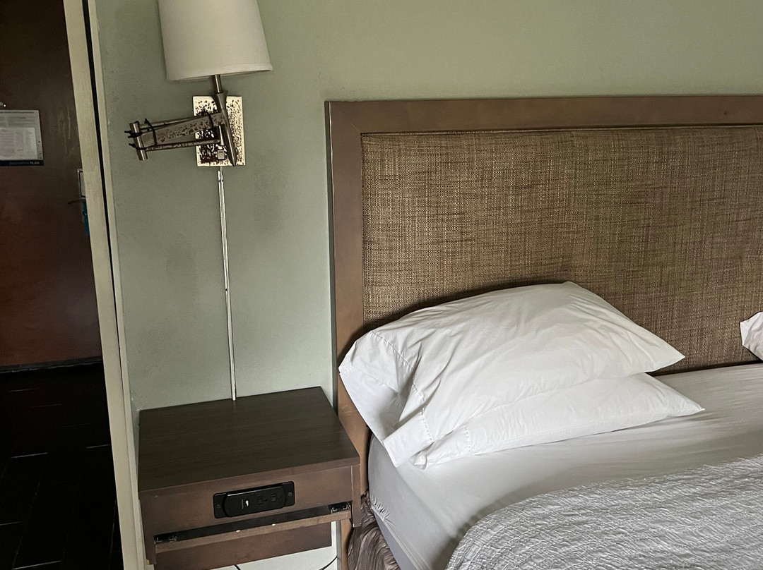 Hampton Inn Bainbridge主图