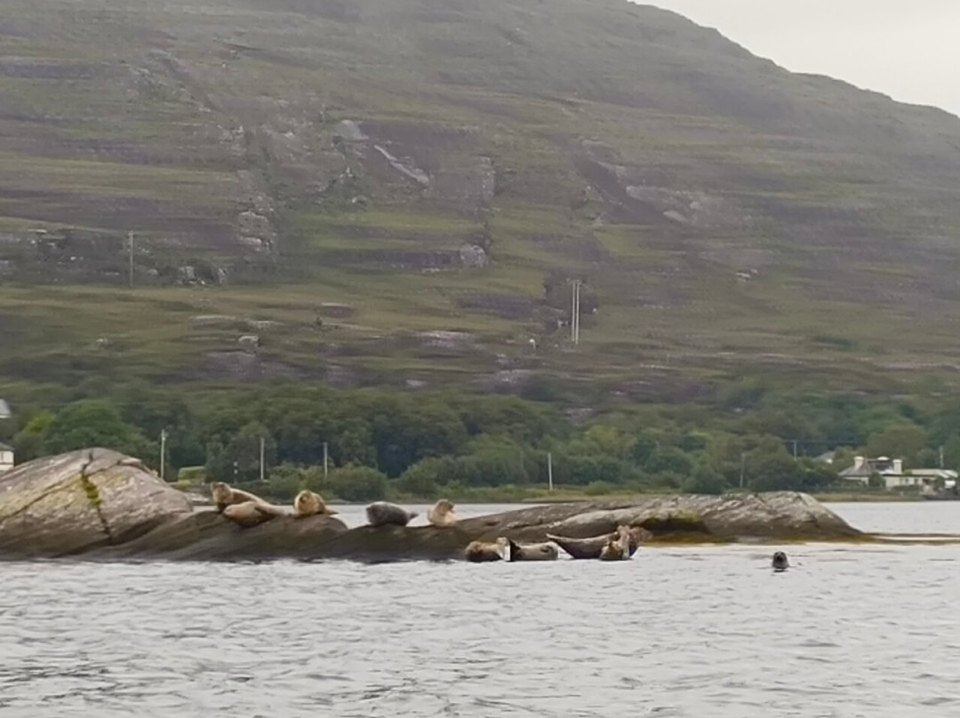 Wild Atlantic Wildlife-Adrigole必去景点