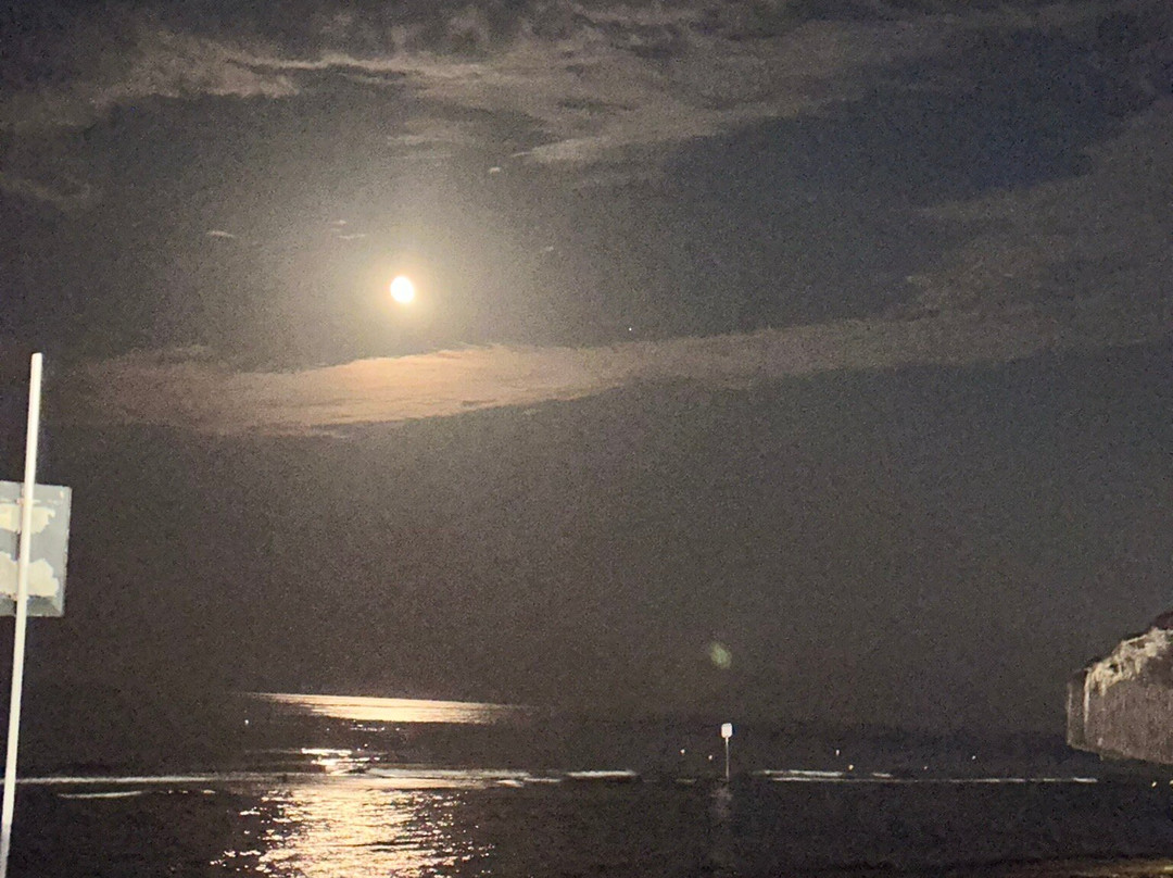 Hotel Residence Adriatico主图