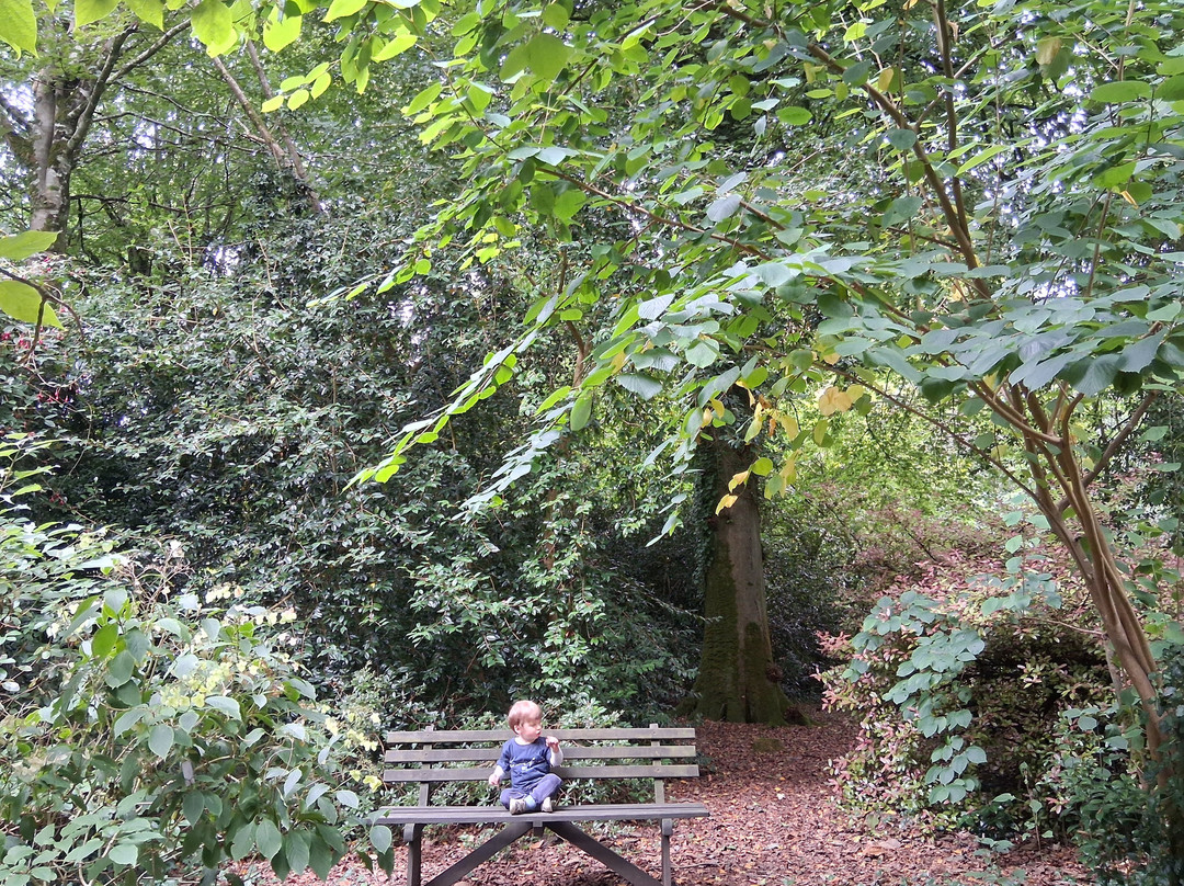Trewithen Gardens-Grampound必去景点