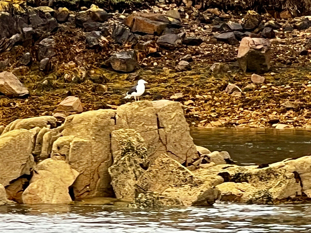 Sur Mer Brehat-Ile-de-Brehat必去景点