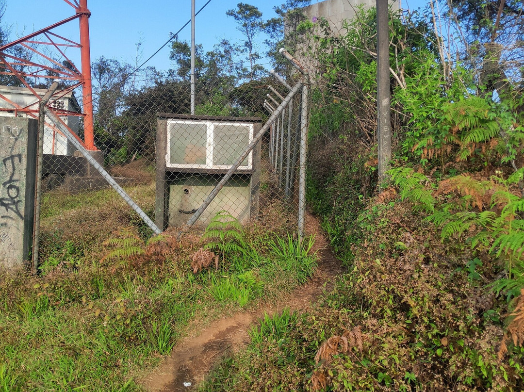 Single Tree Hill-奴娃拉伊利雅必去景点