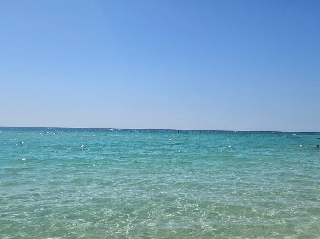 Bonavista-切萨雷奥港必去景点