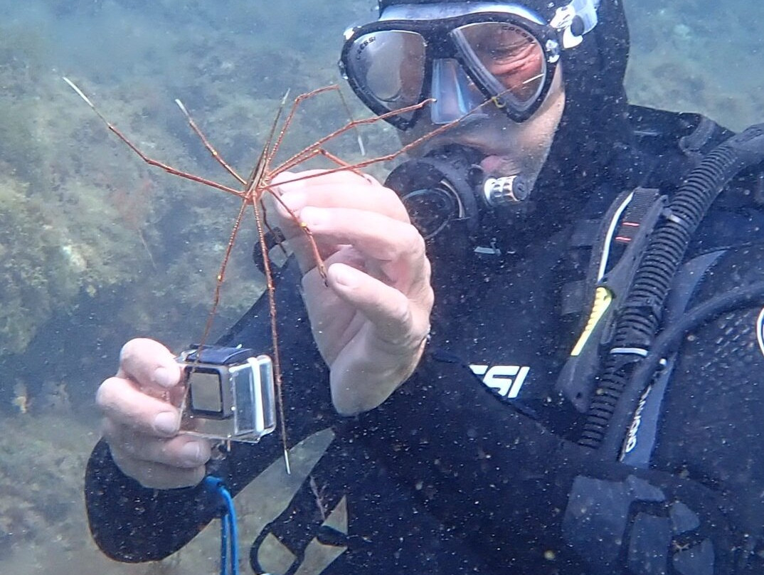 Dive Inn-Villaverde必去景点