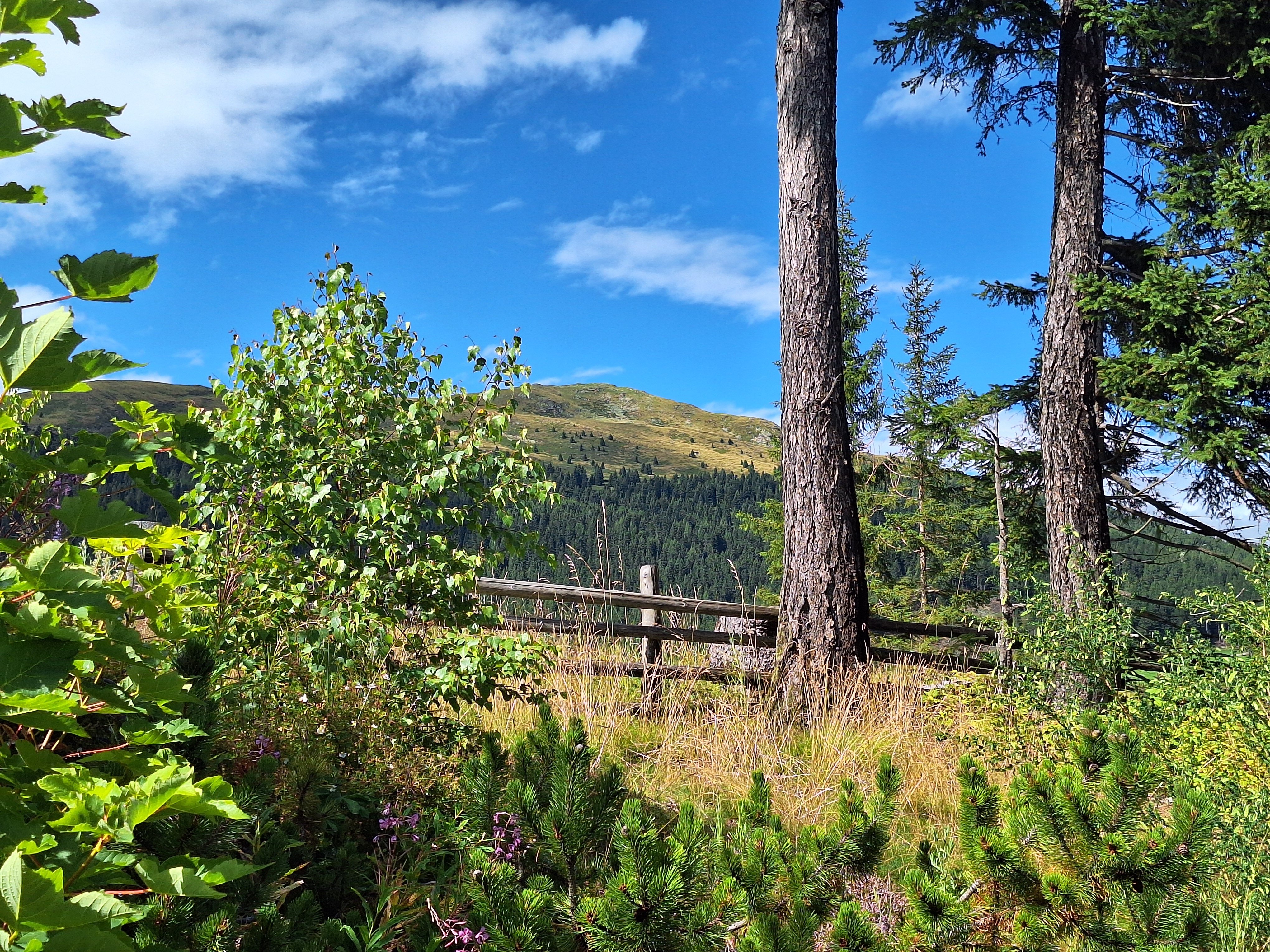 Terra - The Magic Place-酒店景观