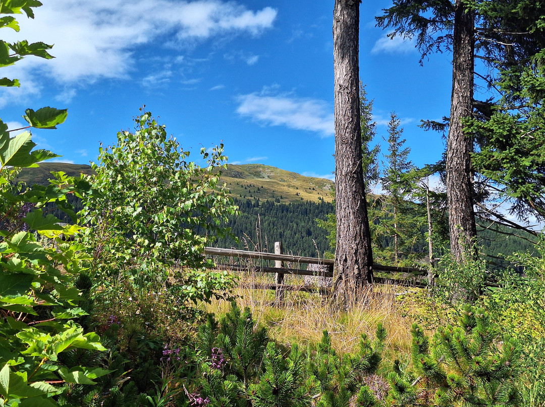 Terra - The Magic Place主图