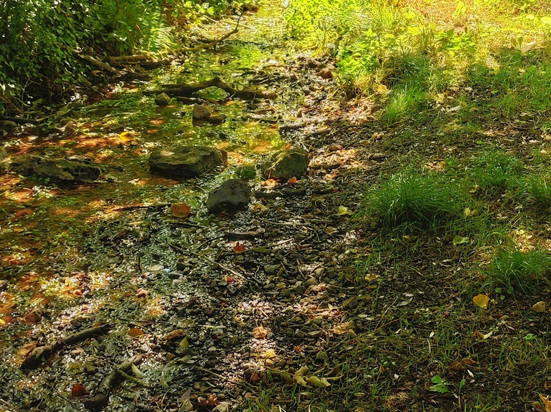 Fontaine - Lavoir De Rigaudon