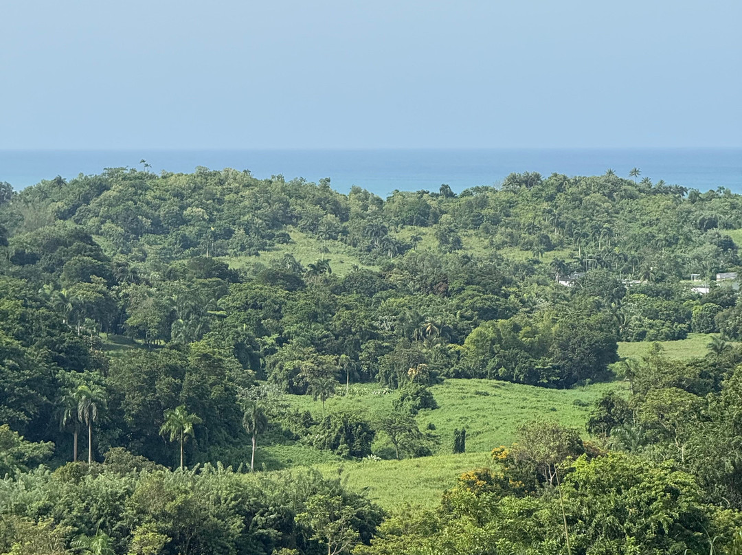 Carabali Rainforest Adventure Park-Luquillo必去景点