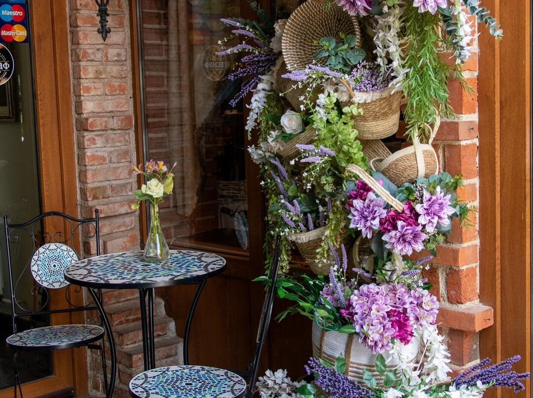 苏牧斯基费讷丽酒店主图