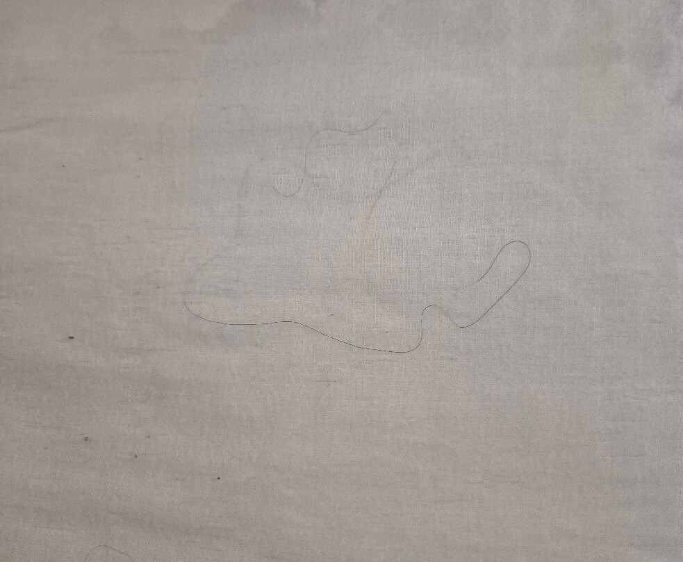 The Senator Hotel主图