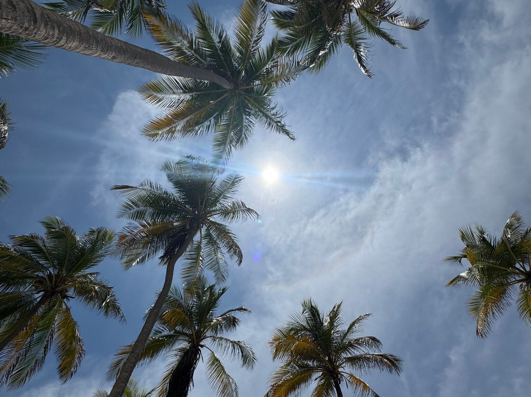 Cayo Sombrero-奇奇里维切必去景点