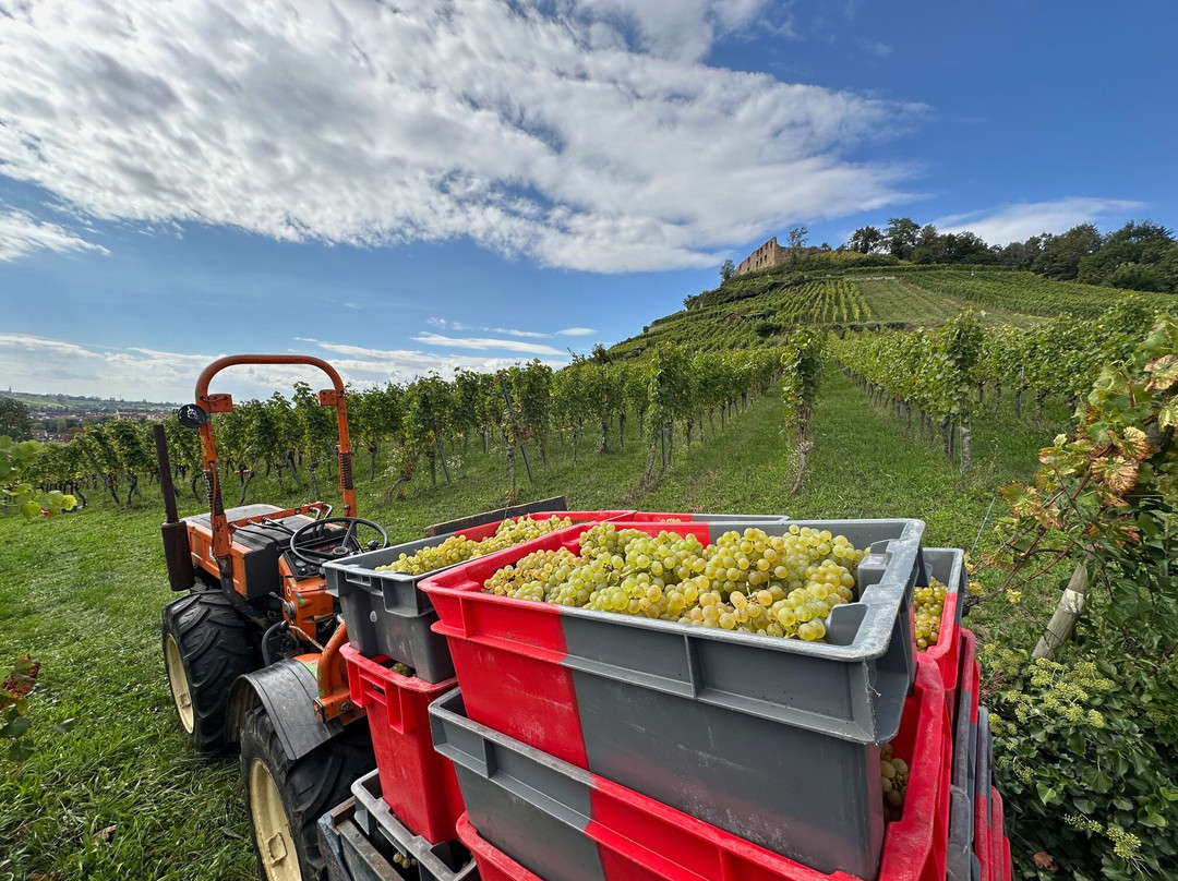 Staufen酒店住宿-Gasthaus-Hotel Hirschen